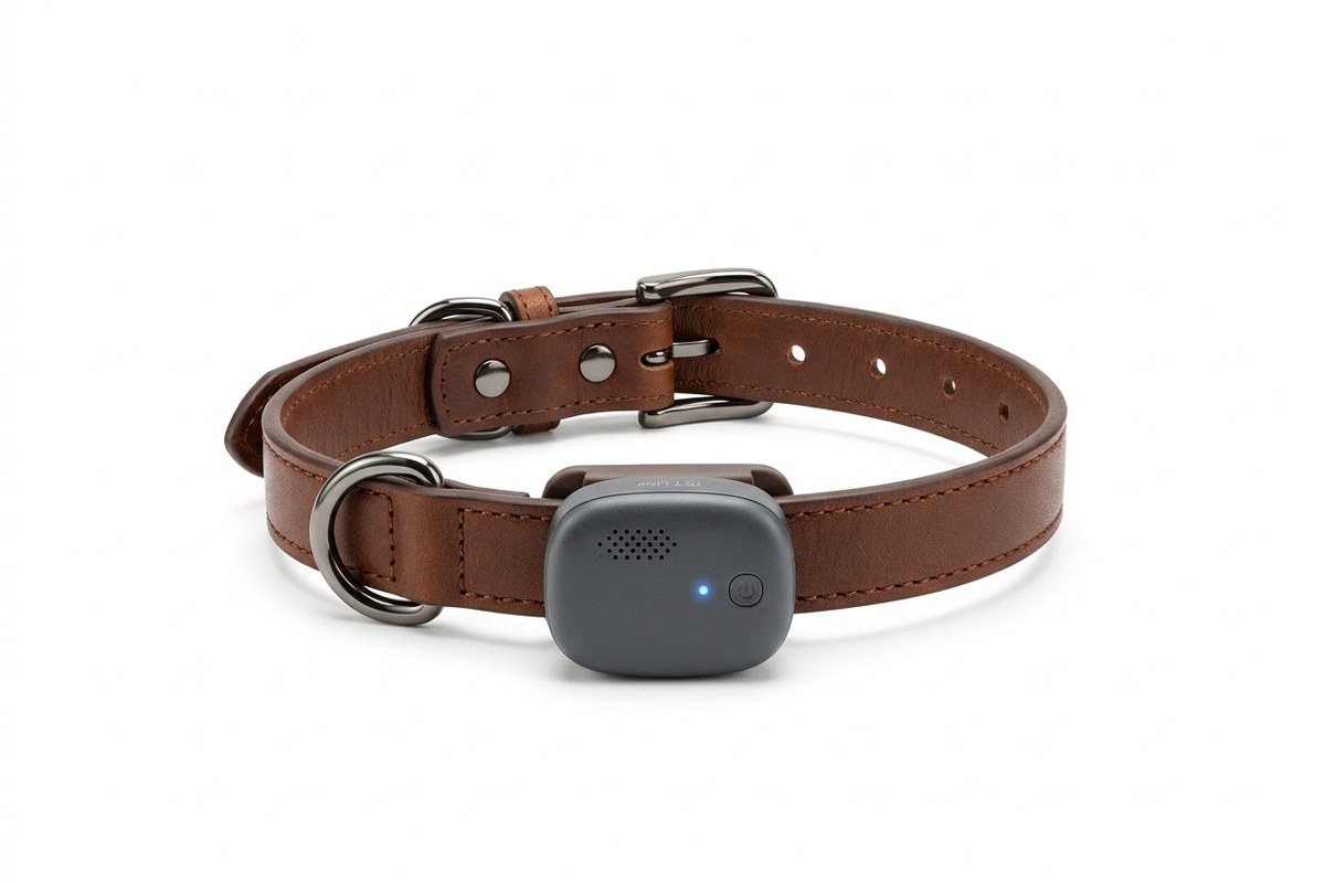 Babel Bud Pet Translator Collar